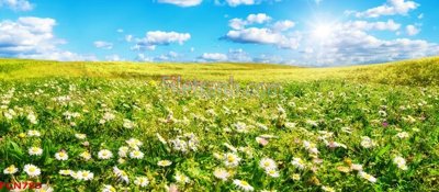 Tải file gốc File tranh phong cảnh thiên nhiên PCN785 (in không vỡ ảnh)