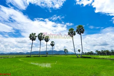 Tải file gốc File tranh phong cảnh thiên nhiên PCN792 (in tráng gương) cao cấpFile gốc File tranh phong cảnh thiên nhiên PCN792 (in ấn) phiên bản độc quyền