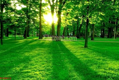 File tranh trang trí File tranh phong cảnh thiên nhiên PCN812 (tải file gốc)