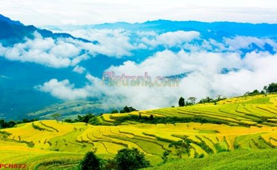 File in trần File tranh phong cảnh thiên nhiên PCN822 (bản gốc) phong cảnh