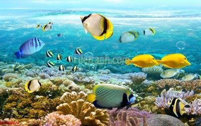 File gốc File tranh phong cảnh thiên nhiên PCN869 (dành cho trang trí nội thất)