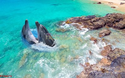 File gốc in ấn File tranh phong cảnh thiên nhiên PCN875 chuẩn màu CMYK