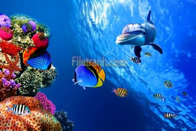 Tải file File tranh phong cảnh thiên nhiên PCN902 (gốc) chủ đề hoa sen