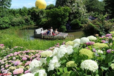 Tải file File tranh phong cảnh thiên nhiên PCN937 (gốc) chủ đề tôn giáo