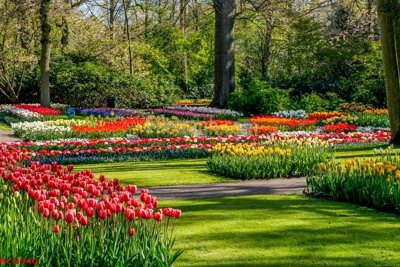 Hình ảnh file gốc File tranh phong cảnh thiên nhiên PCN940 cho in UV