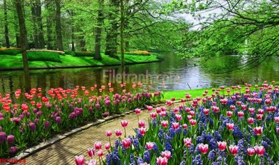 Download file File tranh phong cảnh thiên nhiên PCN944 (chuẩn in) chất lượng cao