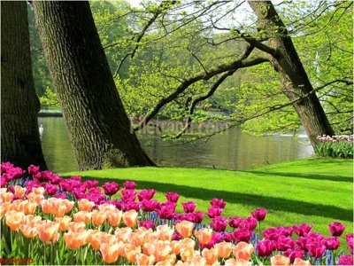 File in lụa File tranh phong cảnh thiên nhiên PCN950 (phong cảnh) File tranh phong cảnh thiên nhiên PCN950