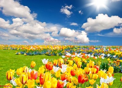 Mua file gốc File tranh phong cảnh thiên nhiên PCN955 (chất lượng) tại Filetranh.com