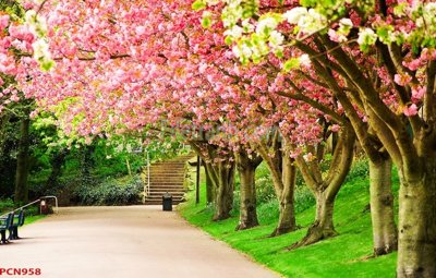 Tải file gốc File tranh phong cảnh thiên nhiên PCN958 (in tráng gương) 5DFile gốc File tranh phong cảnh thiên nhiên PCN958 (in ấn) phiên bản premium