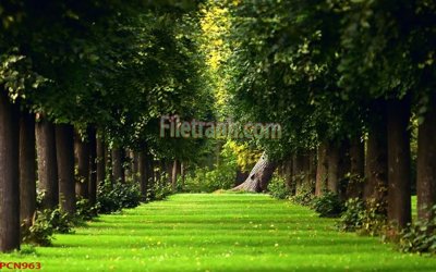 Hình ảnh gốc File tranh phong cảnh thiên nhiên PCN963 (để in khổ lớn)