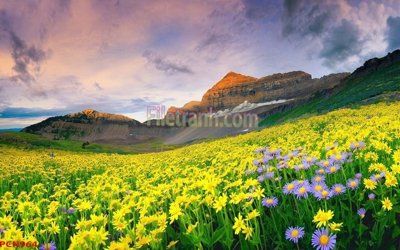 Tệp tin gốc File tranh phong cảnh thiên nhiên PCN964 (dùng cho in ấn) chuyên nghiệp