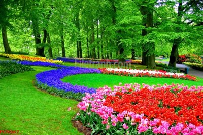 File gốc File tranh phong cảnh thiên nhiên PCN967 cho in ấn và thiết kế