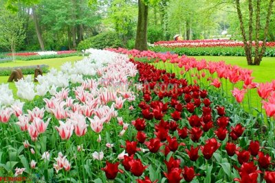 File tranh PSD File tranh phong cảnh thiên nhiên PCN987 chất lượng cao