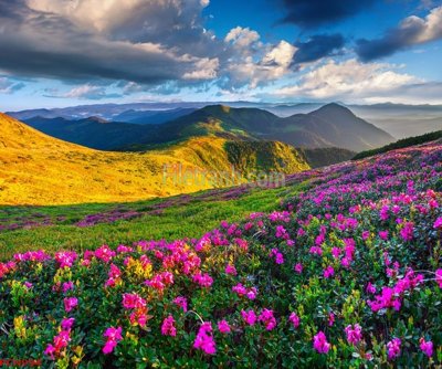 Tệp tin gốc File tranh phong cảnh thiên nhiên PCN994 (dùng cho in) File tranh phong cảnh thiên nhiên PCN994