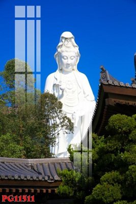 File ảnh File tranh phật giáo PG11511 (gốc) in poster