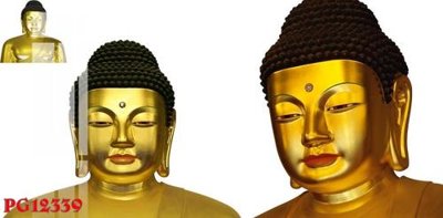 Tải file File tranh phật giáo PG12339 (gốc) để in ấn ngay