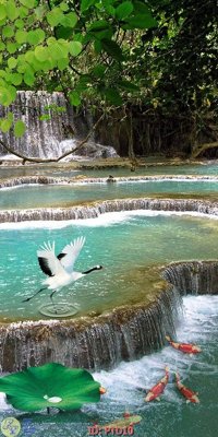 File PSD File phong thủy đứng thác nước PTD10 (bản gốc) đã tách nền