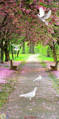 File gốc File phong thủy đứng thác nước PTD17 (cho in ấn) từ kho Filetranh