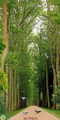 File ảnh gốc File phong thủy đứng thác nước PTD171 (chuyên in mica)