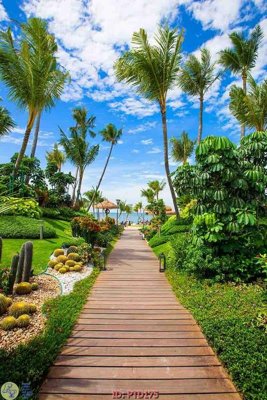 File PSD File phong thủy đứng thác nước PTD175 (nguyên gốc) chất lượng cao