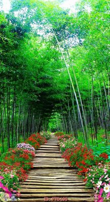 File tranh in tráng gương File phong thủy đứng thác nước PTD190 (siêu nét)