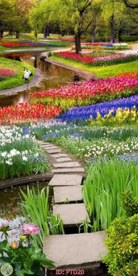 Tải file File phong thủy đứng thác nước PTD20 (ảnh gốc) file TIFF