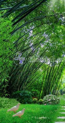 File in trần File phong thủy đứng thác nước PTD2066 (bản gốc 3D) sống động