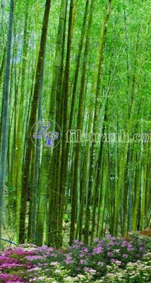 File gốc File phong thủy đứng thác nước PTD2086 (in tráng gương) ốp tường