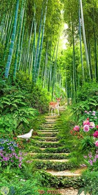 File tranh File phong thủy đứng thác nước PTD21 (file gốc) chuẩn màu in