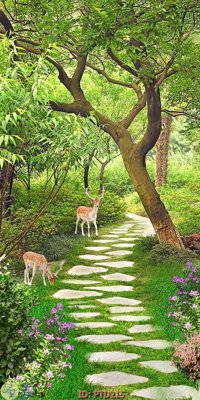 Tải file File phong thủy đứng thác nước PTD215 (ảnh gốc) 300dpi File phong thủy đứng thác nước PTD215