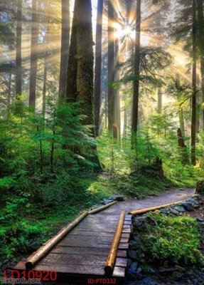 Tải file File phong thủy đứng thác nước PTD332 (gốc) làm file in ấn