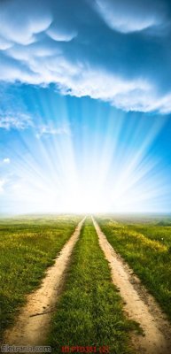 File gốc File phong thủy đứng thác nước PTD351 (in lụa) hoa văn cổ điển