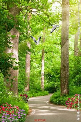 File ảnh gốc File phong thủy đứng thác nước PTD371 không vỡ nét