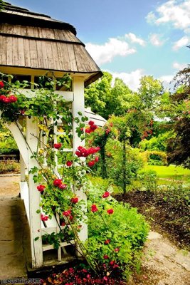 Download file gốc File phong thủy đứng thác nước PTD402 (dùng cho in ấn)