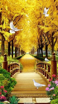 File in trần File phong thủy đứng thác nước PTD439 (bản gốc) trời sao