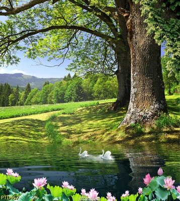 File tranh File phong thủy đứng thác nước PTD457 (ảnh gốc) chi tiết rõ ràng