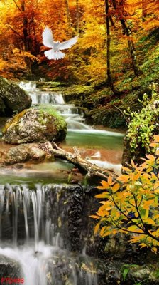 File gốc File phong thủy đứng thác nước PTD498 (in lụa) tranh mã đáo