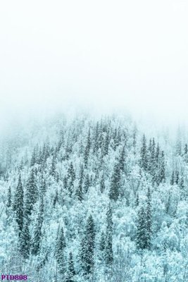 Tải file File phong thủy đứng thác nước PTD808 (gốc) in ấn chất lượng