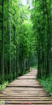 Tải file gốc File phong thủy đứng thác nước PTD88 (in khổ lớn) không mờ