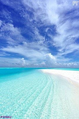 File in ấn chuyên nghiệp File phong thủy đứng thác nước PTD882 (file gốc)