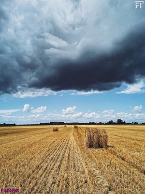 Hình ảnh file gốc in lụa File phong thủy đứng thác nước PTD898