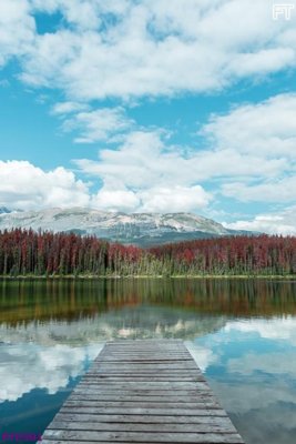 Download file File phong thủy đứng thác nước PTD901 (gốc) in mica ốp bếp