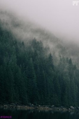 File gốc File phong thủy đứng thác nước PTD919 (in lụa) tranh thuận buồm