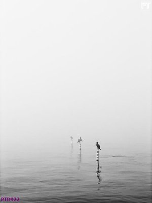 File tranh in trần File phong thủy đứng thác nước PTD922 (ảnh gốc siêu nét)