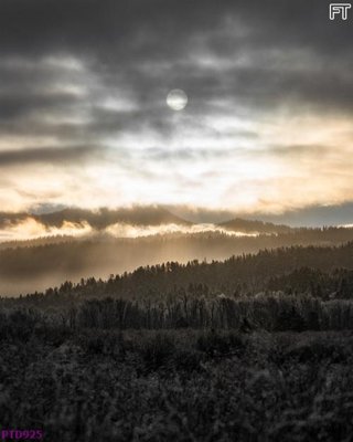 File tranh File phong thủy đứng thác nước PTD925 (ảnh gốc) sắc nét hoàn hảo