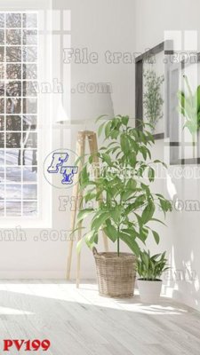 File tranh in trần 3D File gốc in phông live tream phòng phát sóng trực tiếp PV199 (ảnh gốc)