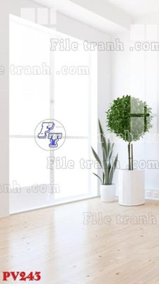 Tải file File gốc in phông live tream phòng phát sóng trực tiếp PV243 (gốc) in ấn chất lượng