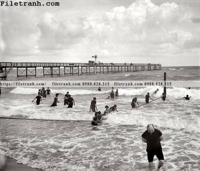 Download file gốc Palm Beach_ 1904 (in mica) trang trí