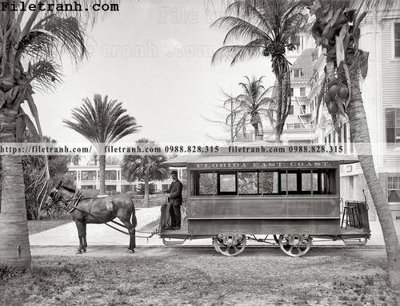 File PSD Palm Beach_ 1905 (bản gốc) chất lượng nhất