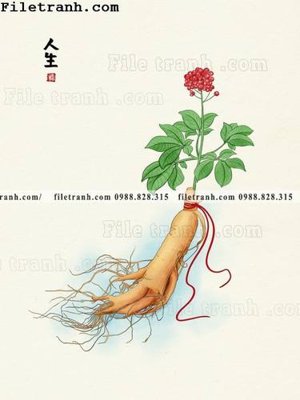 File gốc Phong tuc dan gian Trung Quoc moi 181 (phong cách) châu Âu